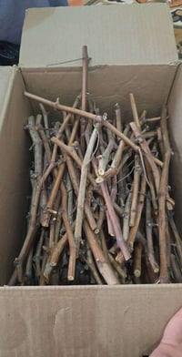 أقلام عنب • أسود بلدي • شدة تركي