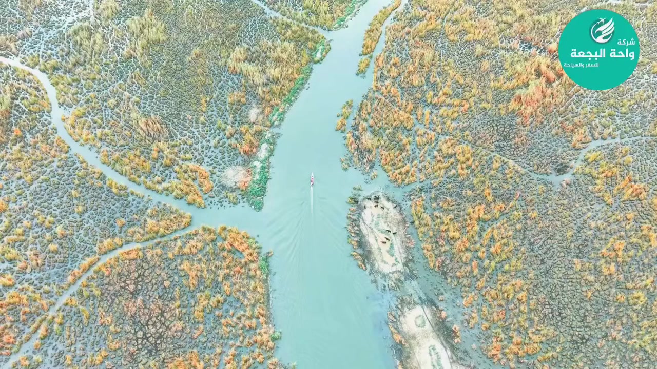 🔻اعلان 
#من #بابل #الى #الناصرية 
 مع واحة البجعة السياحية   بس #اتصل 
رحلة اهوار الجبايش الناصريه 
باصات حديثه الانطلاق جمعه صباحا 
فقط 15 الف 
*********** الانطلاقية الخميس القادم
