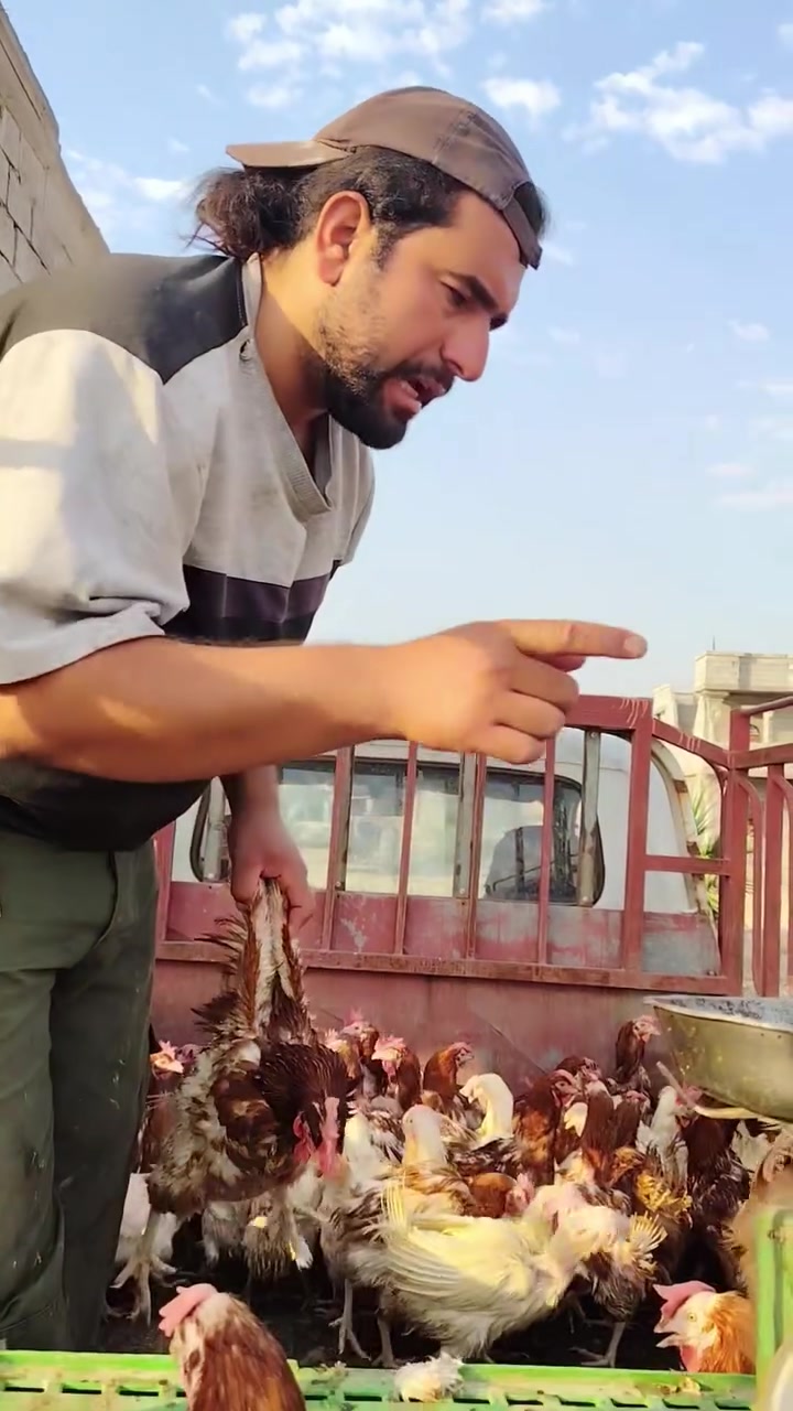 دجاج🐔 جوه البلاش اليوم.. شاهد..

لايك ومشاركه وتعليق ومتابعه 👍


**إذا كنت صاحب هذا الإعلان وتريد حذفه لأي سبب، رجاءا أرسل رسالة إلى الدعم الفني**
