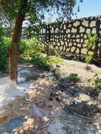 وبركاته بنا حجر كرسته وعمل الاستفسار الاتصال على الرقم التالي 07724208...