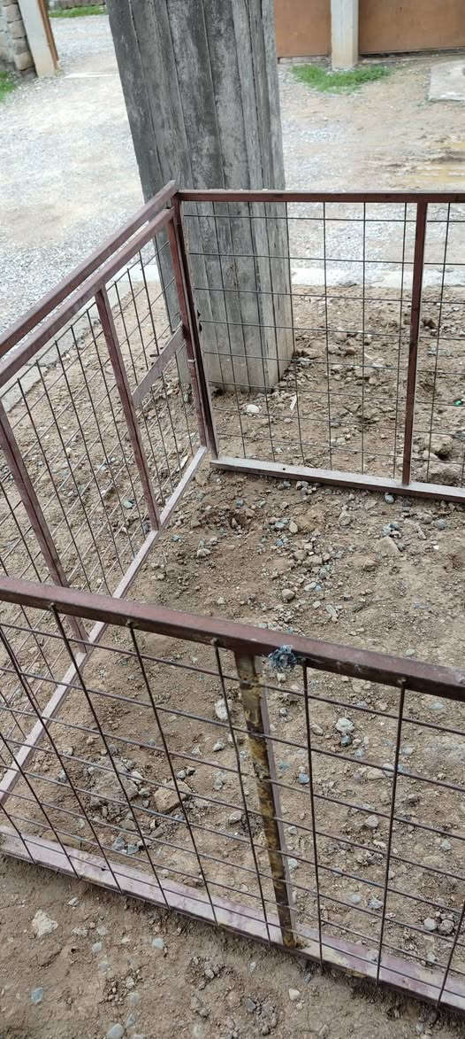 سلام عليكم محجل ستوتا للبيع السعر 75  العنوان موصل كيارة الجدعه ستفسار اكثر تصال ***********
