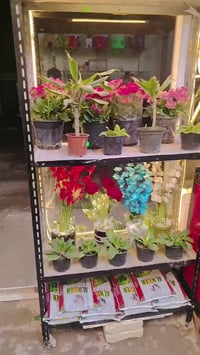 بعقوبه الجديده • توصيل • اسعار مناسبة