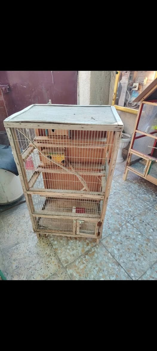 السعر 50 المكان حي الفرات


**إذا كنت صاحب هذا الإعلان وتريد حذفه لأي سبب، رجاءا أرسل رسالة إلى الدعم الفني**