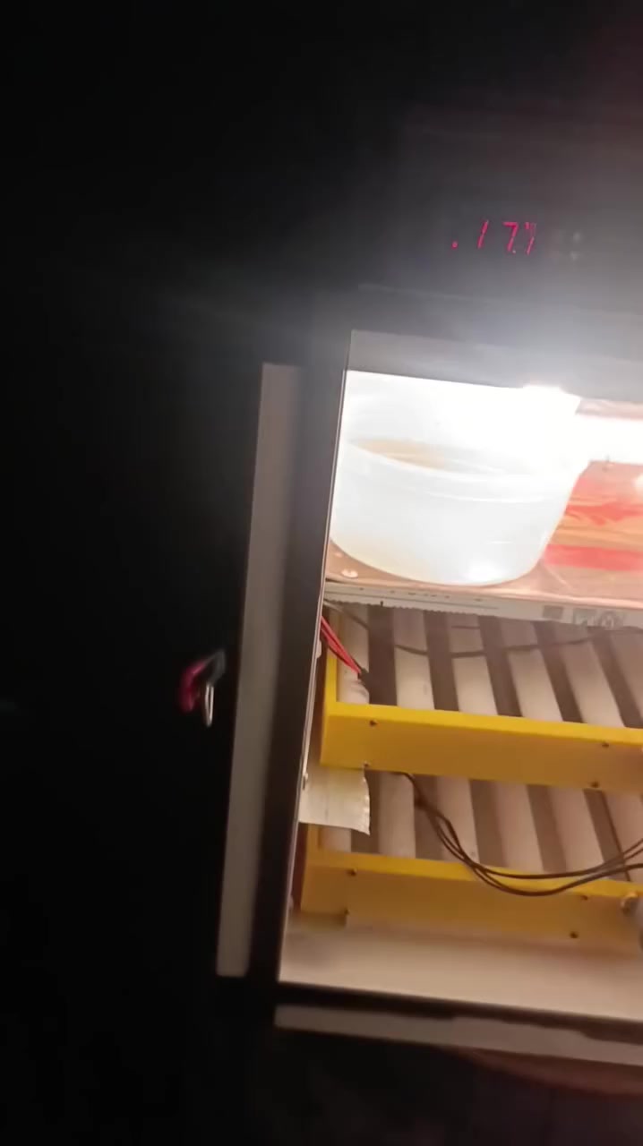 متاح فقاسة نضيفة الحرارة والرطوبة بيها مستقرة ما بيها مشكلة قلابات اتوماتيك بيها قلابين معرف شكد كل واحد ياخذ بيض اعتقد 75 بيضة كل قلاب سعرها من الاخير 100
مكاني جنوب الموصل 
***********
***********
