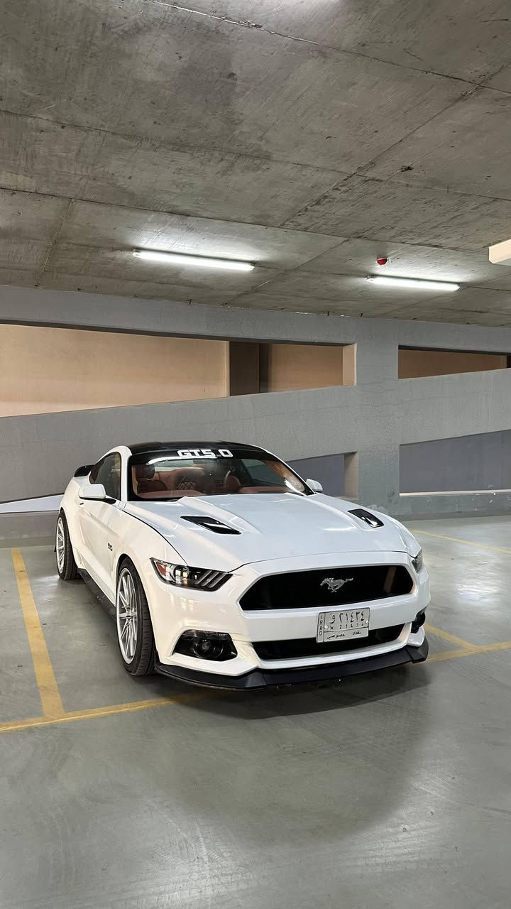 للبيع فقط السعر 108 ورقه 
موستانك GT موديل 2015 رقم بغداد تحويل مباشر 
للاتصال *********** و
محرك 8 سلندر 5000 كير اوتو محرك وكير نظاف 
التبريد شغال 
عليها اضافات .ماشيه 84 الف مايل
بصمه.  شاشه صغيره كاميرا  . تشغيل عن بعد 
كير شفتات بالاستيرن 
تخم تاير جديد صدر نظيف 
وارد امريكي بيها صبغ مكانات 
المكان بغداد الزعفرانية
