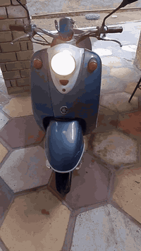 السلام عليكم دراجه للبيع رقم الهاتف *********** بغداد سعر 200
