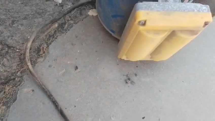 للبيع .. للبيع كلمن وسعرة  مكاني بغداد الكرخ


**إذا كنت صاحب هذا الإعلان وتريد حذفه لأي سبب، رجاءا أرسل رسالة إلى الدعم الفني**