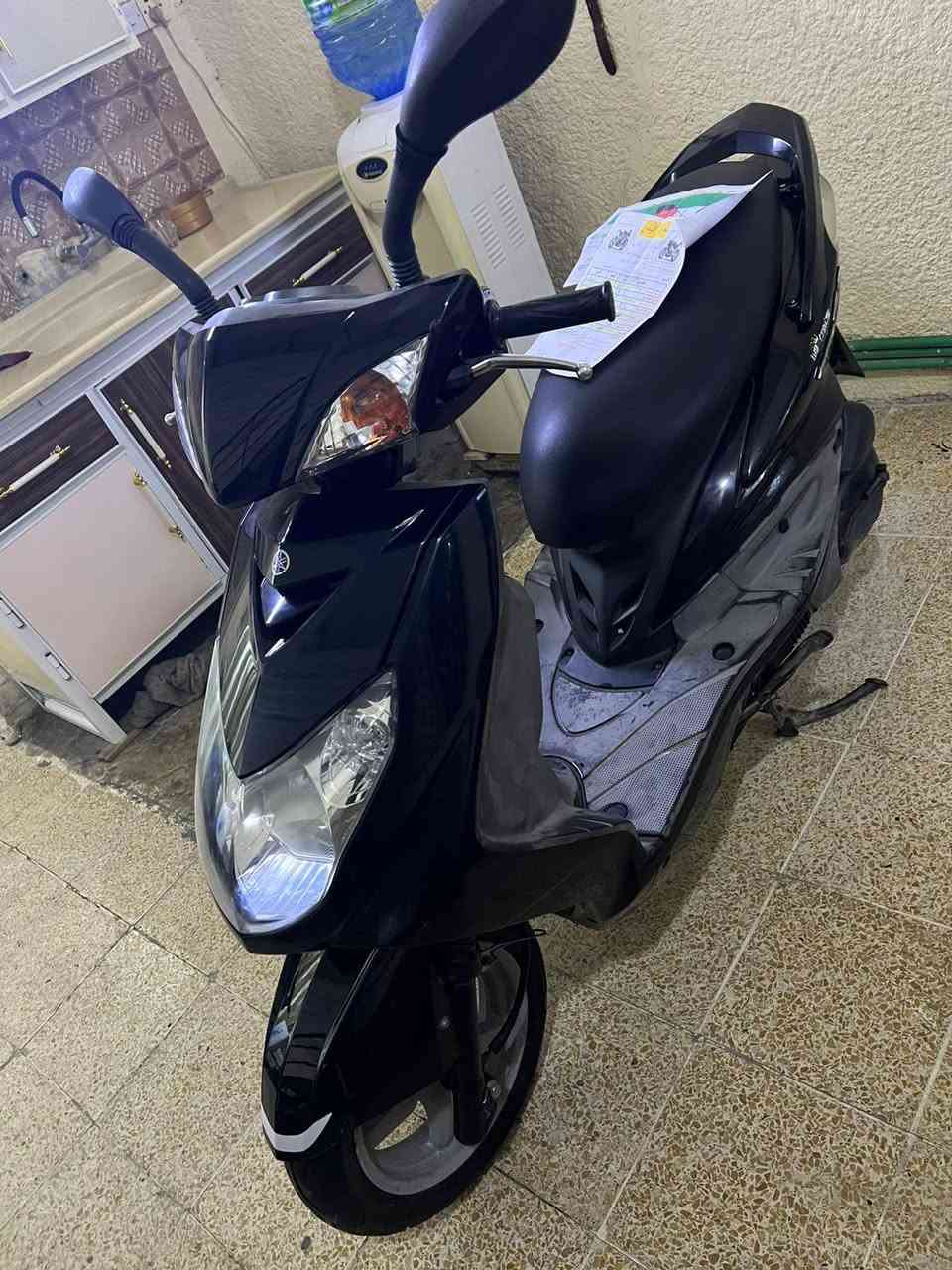 سلام عليكم سكنس فحل باياني البيع مكفوله كفاله عامه بحاله الوكاله ماشيه 20الف رقم الجوال *********** مكان بغداد مدينه الصدر
