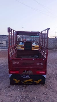 ستوته • موديل 19 • أوراق