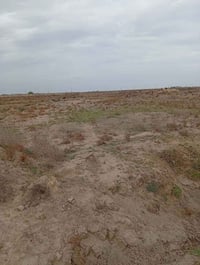 أرض زراعية • ٧٠ دونم • مياه نهر