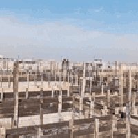 ‏‪0782 445 0825‬‏