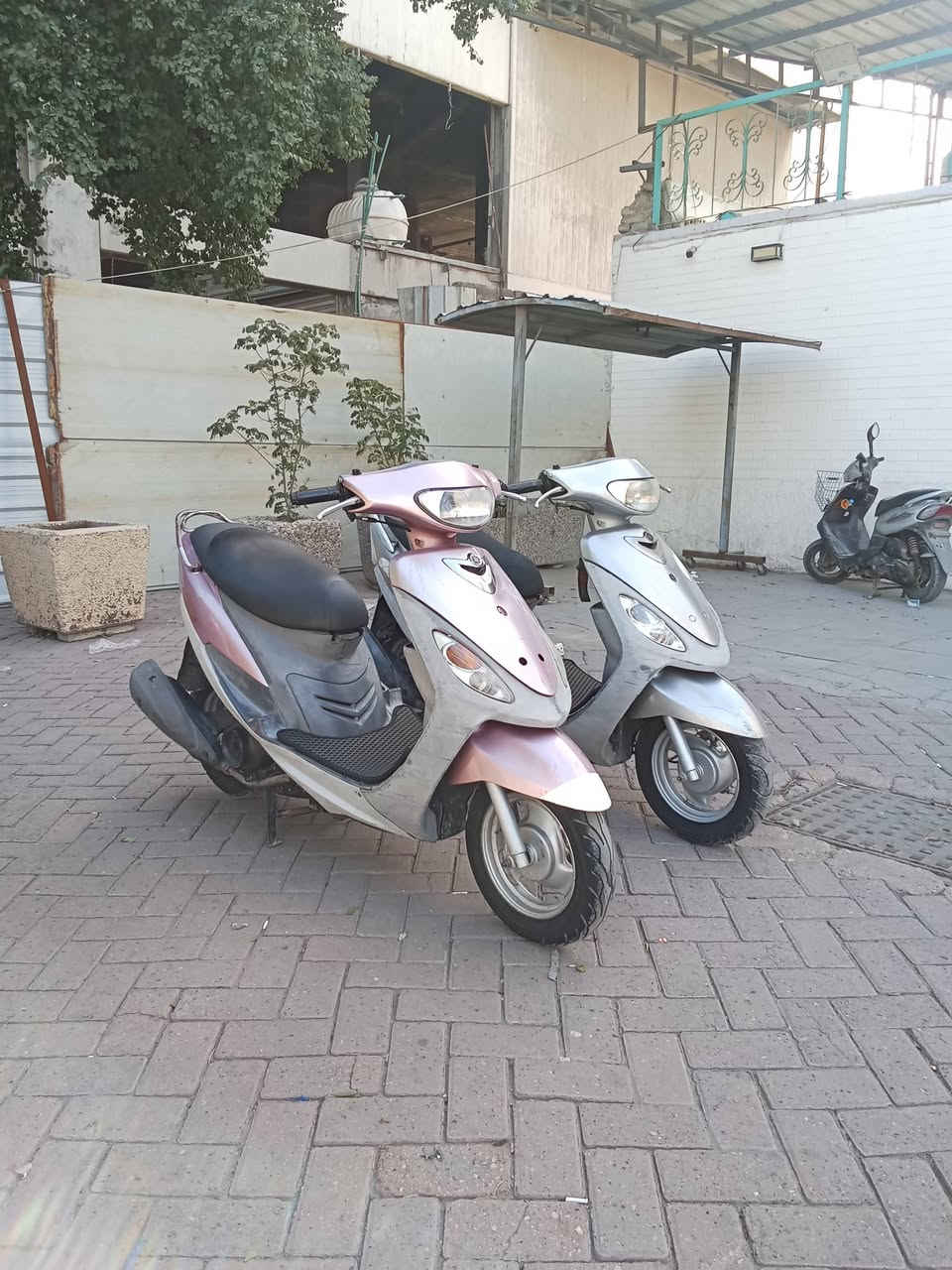 السلام عليكم شباب دراجات ماكسات منغوليات مال رمبة كلشي بيهن ابلادي وكلشي بيهن شغال شلعة ومعدل ونعومة متنسمع برغي واحد ما مفتوح بيهن العنوان بغداد باب المعضم ولا ستفسار ***********
