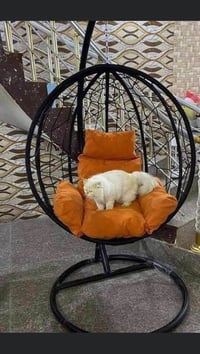 مرجوحة عش العصفور • حجم كبير • تتحمل وزن ثقيل