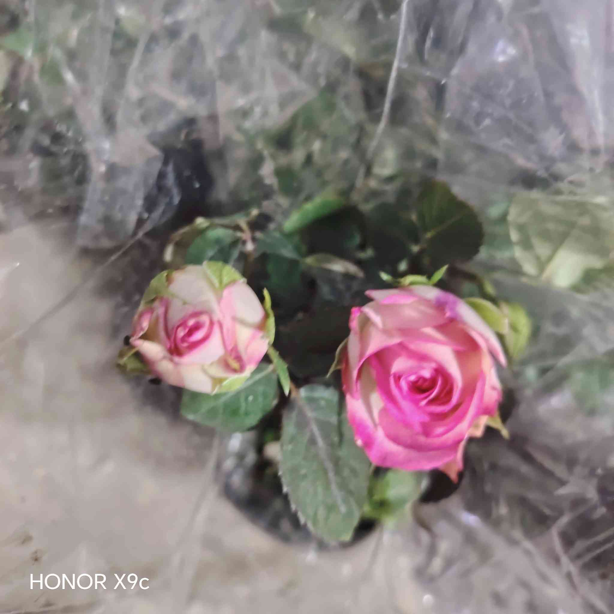 عرض اليوم الجمعه.
جوري قطمر الوان نوادر.
كل ٢ ب٥ الف
للحجز والاستفسار الاتصال على الرقم *********** جاسم الخليفاوي العنوان الخالديه شارع العام مقابل بلديه الخالديه
