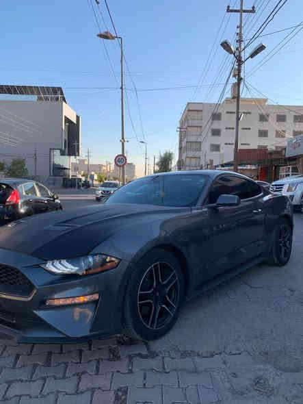 كوردي عربي 

Mustang 2023

٣ پارچە و سەقف سبوغ 
(چامرلغ پێش و پشت 
بۆنیت) 

بەتانەی گرتووە

ئێرباک سوکان 

چوارپستۆن 
مەکینە نەکرایتەوە 

سەنەوی نوێیە 

٣٢ هەزار مایل چووە 

نرخ /  $ 13800

واتساب+ژمارەی ئاسیا (***********(
ژمارەی کۆرەک (***********( أربيل
