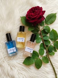 عطور زيتية • فرنسية أصلية • توصيل مجاني
