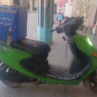 فراشه دولفين • البصره • نظيفه