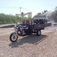 ستوته • ٢٠١٨ • شاصي مكفول