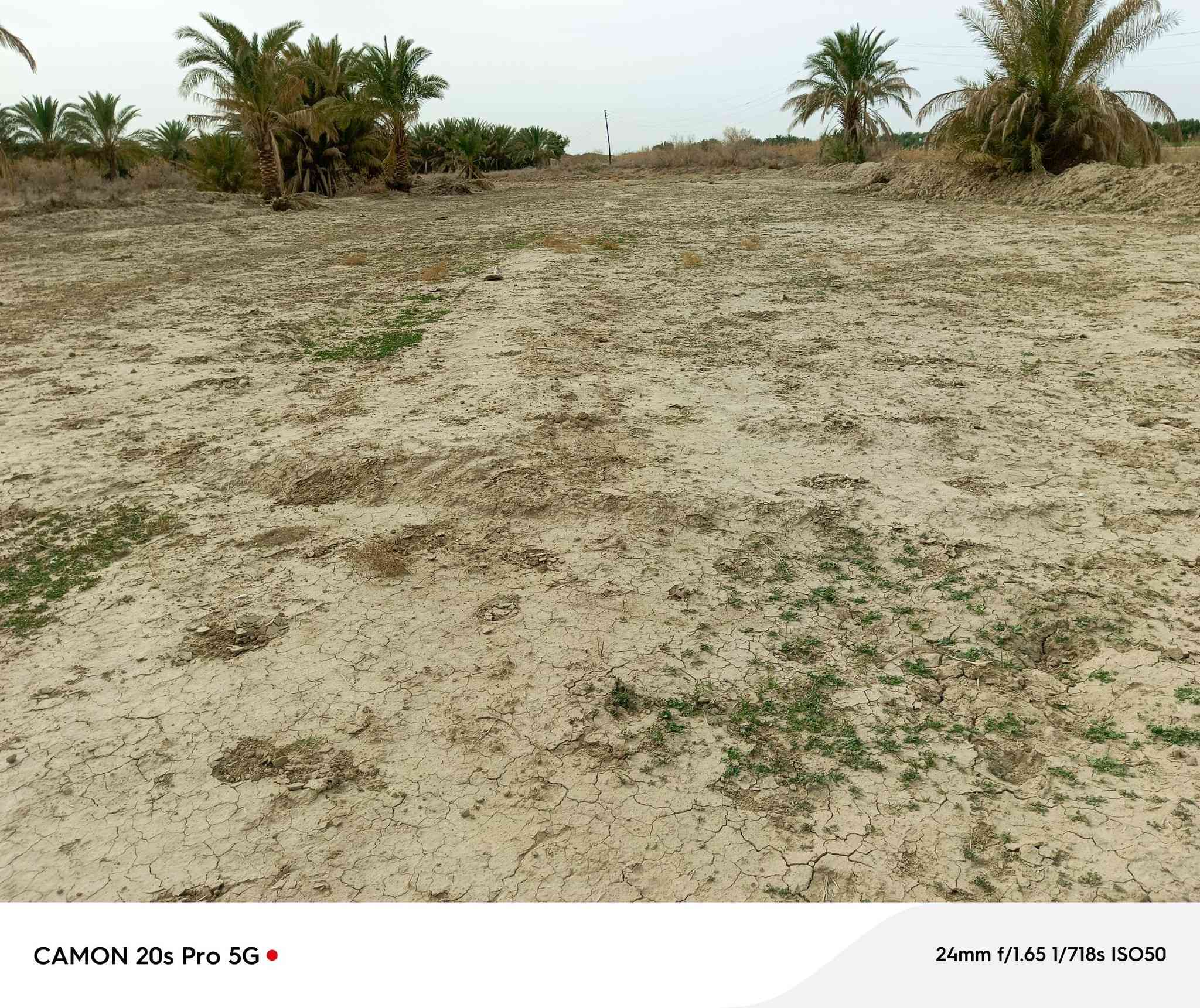 دونمين بسعر مناسب شاطي على النهر منطقة الامام المهدي بعد الجسر تفاصيل السعر عل خاص


**إذا كنت صاحب هذا الإعلان وتريد حذفه لأي سبب، رجاءا أرسل رسالة إلى الدعم الفني**