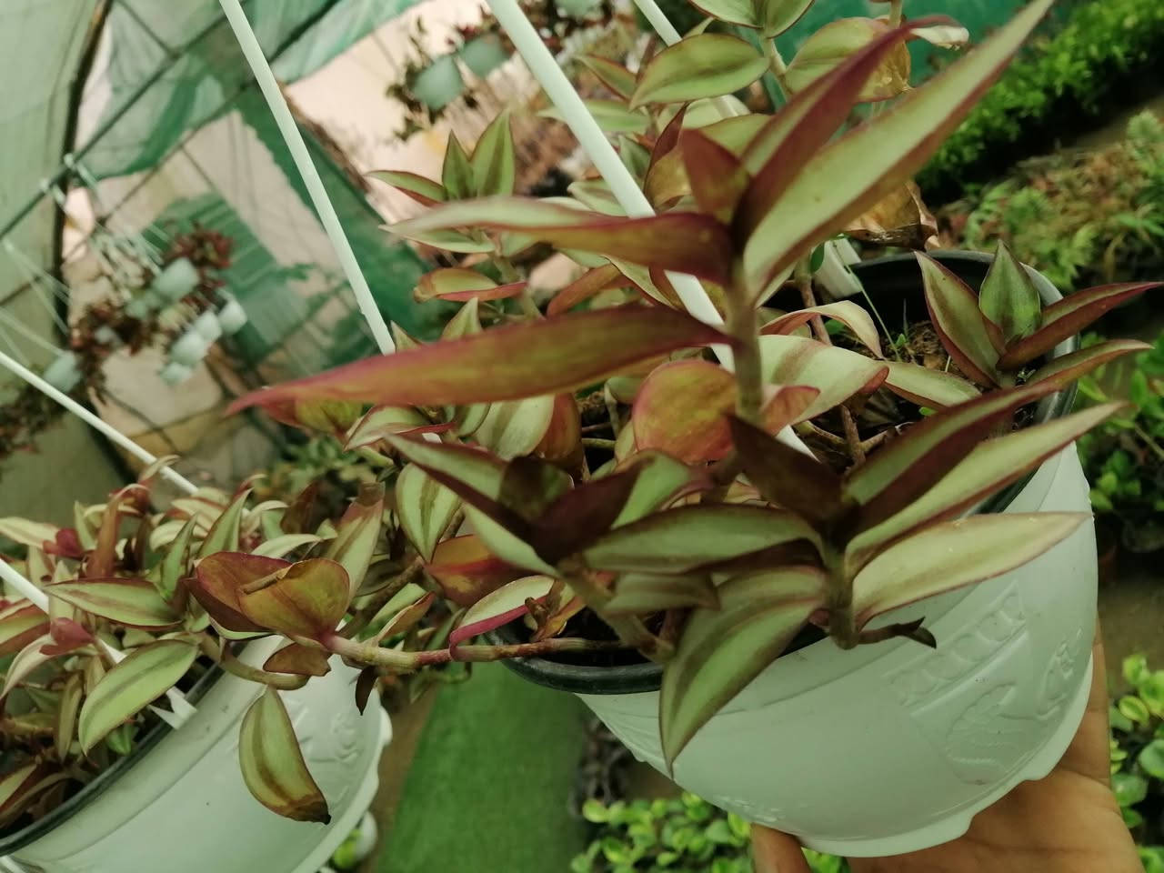 ((مشتل حديثة المركزي))
الموقع #
قرب دائرة البريد بسوق حديثة
دائما مستمرين وياكم
مكحله تعلاك ٣الالف فقط
كل ٢ ب٥الالف 
عرووووضنا  وبأسعار بلاششششششش🙂✌️
فقط وبس يمنا)) 😉🌺✌️

لاستفسار زورو صفحتنا أو الاتصال على الرقم
***********
اهلاوسهلا بالجميع ❤️
