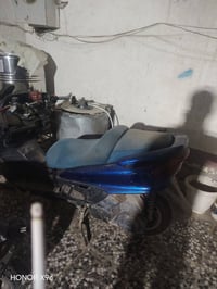 ماجسته • شغّاله • طوريج