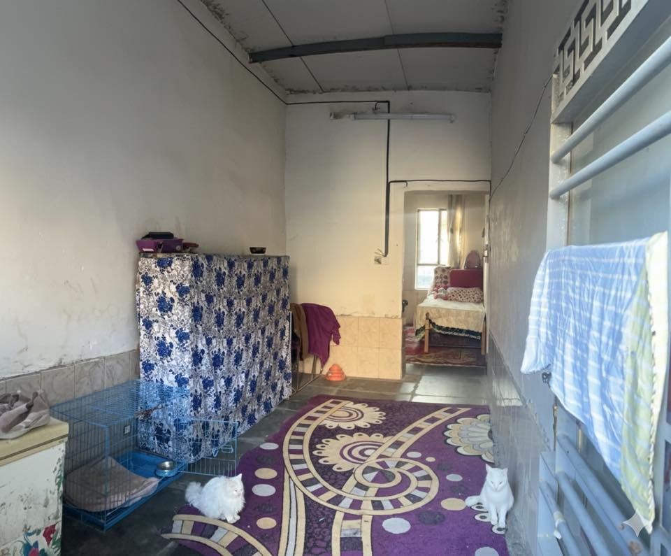 السلام عليكم
بيت تشجير مساحة 150مترع التبليط وكافة الخدمات ماء كهرباء إنترنيت اضافة إلى البيت يحتوي ع بئر ماء
سقف درجة اولى
يحتوي ع ثلاث غرف ومطبخ وصحيات اضافة إلى استقبال معزول 7*5م
وكراج كبير يسع سياره واحدة
السعر المطلوب 25 وقابل للتفاوض
العنوان الدورة ابو دشير شارع بيت جبارة
للتواصل واتساب فقط ‭0771 421 1287‬
