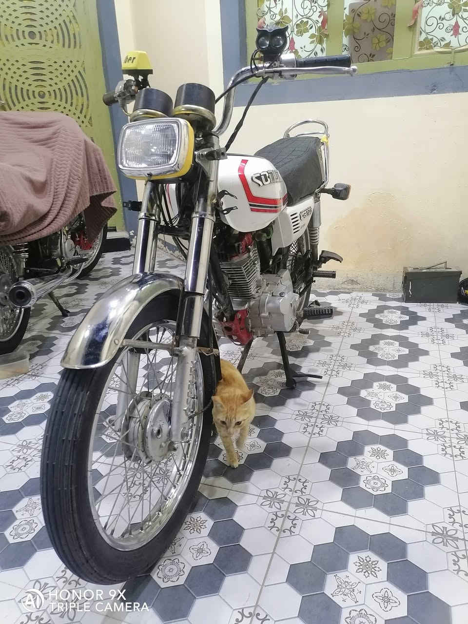 السلام عليكم ورحمة الله وبركاته دراجة تايكر سونك 2022 أوراق موجودة بيع او مرواس
نظافة كما موضح في الصورة نقصها فقط كهربائيات... 

 السعر 380
 وبيها مجال للشراي
للاستفسار الاتصال على الرقم
***********
أو واتساب
وذا معندك رصيد 😁
علق واني اتواصل وياك
