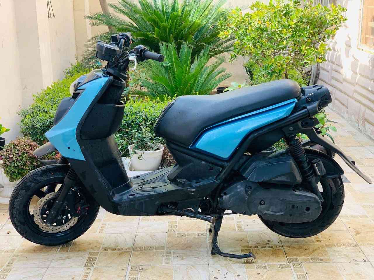 سكنس جبلي قبل 4 أيام طالعه من رمبه مكفولة السعر/1100 وبيها مجال لشراي 
حله مركز المدينة 
***********
