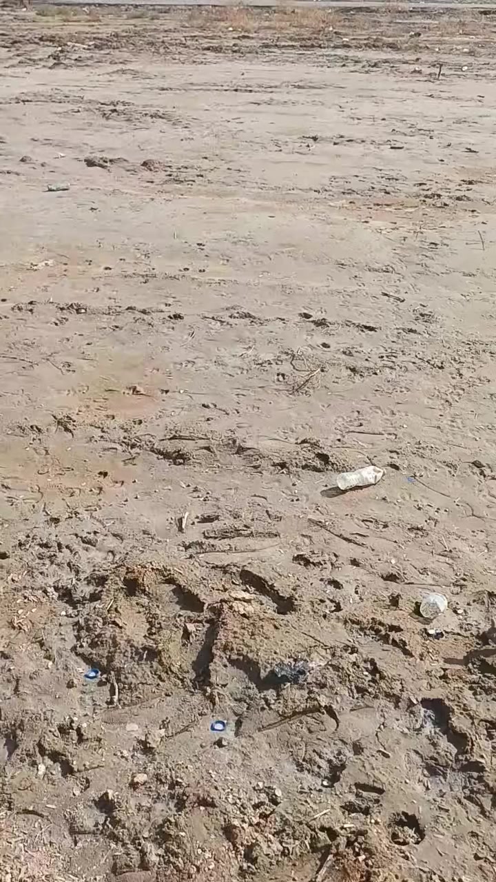 السلام عليكم مجمع بركات الحمزه ع قطعه زراعي للبيع المساحة 450 متر تتدخل سهم بطابو ماء كهرباء تبليط الجهه المقابل للأمام المنصور ع خلف سكة القطار خلف المواكب الحسينية تبعد عن الشارع العام 500 متر//اتصال*********** او خاص
