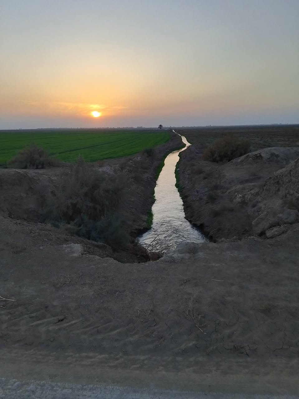 ارض زراعيه للبيع تقع على نهر المالح الريسي مقابيل الشحميه 50 دونم لارض امبزله نهر أو فتحه خاصه وحده 
***********
