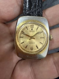 نينو سويسري • قطر ٢٩×٣٤ • شغالة زين