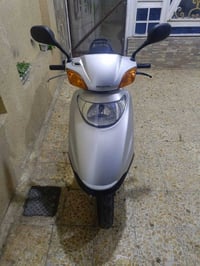 سبيسي ياباني • من المعرض شهرين • الكوت الشراي