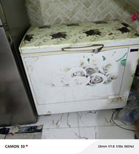 مجمدة • حجم وسط • نظيفه