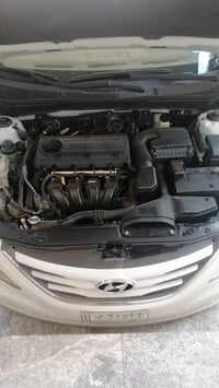 سوناتا • ١٣ شكل ١٤ • كفاله عامه