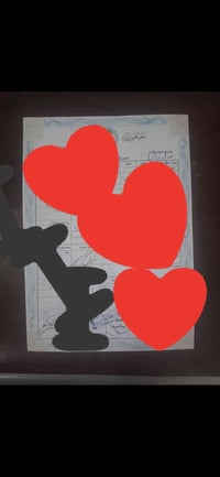 ارض زراعية • سند ٢٥ • قرب جسر نجف