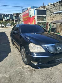 ماجسته • ٢٠٠٧ • كشنات جلد فتحة