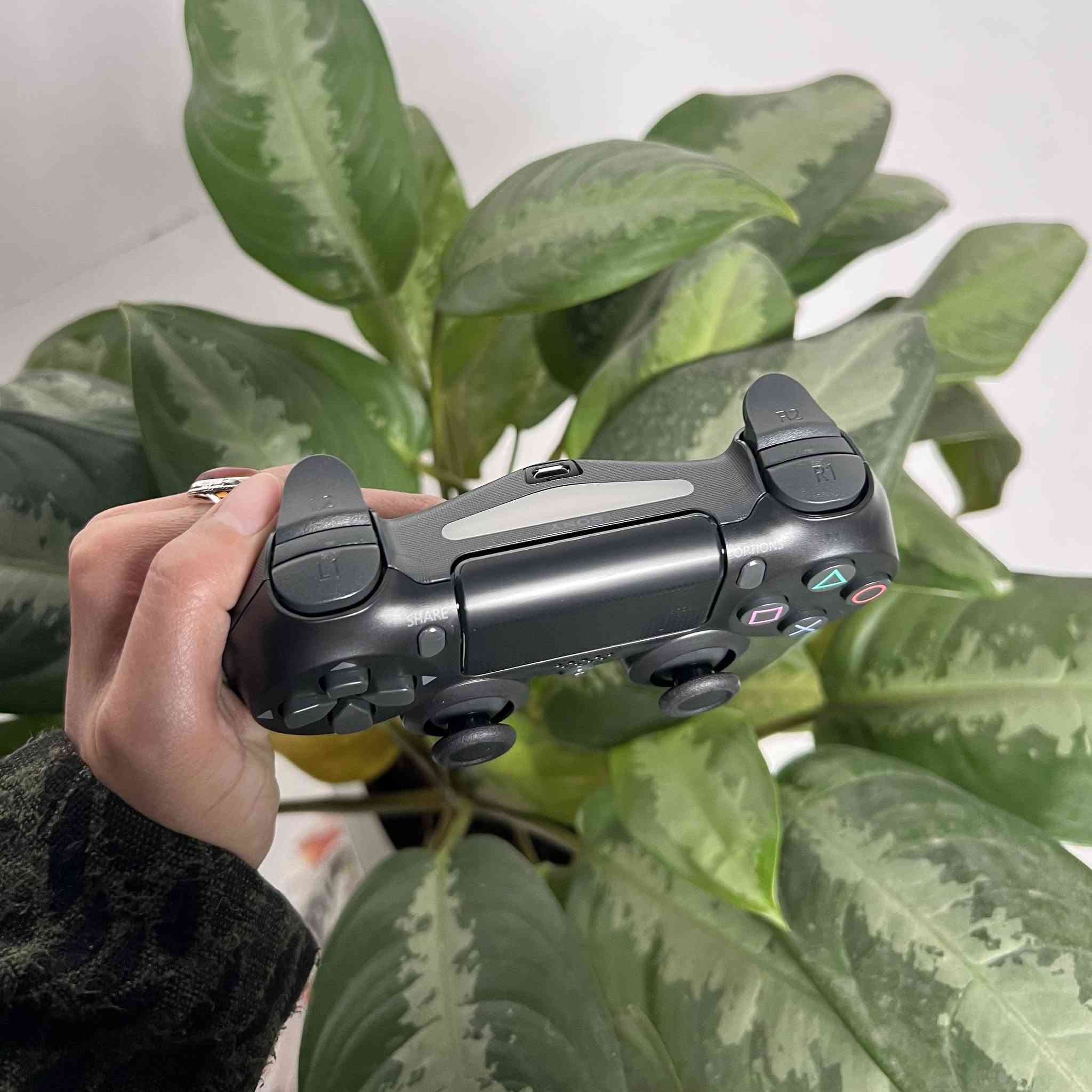 يدة تحكم سوني بليستيشن 4 الاصليه  . يوجد توصيل لجميع المحافظات  . واتساب ***********
يد تحكم لاسلكية DualShock 4 لأجهزة PlayStation 4

• وحدة التحكم اللاسلكية الأصلية من Sony المصممة لتقديم تجربة لعب متكاملة واستجابة عالية على أجهزة PS4.

• لوحة لمس (Touch Pad) تدعم اللمس المتعدد وتفتح آفاقاً جديدة لطرق اللعب والتفاعل.

• مكبر صوت مدمج ومنفذ سماعة ستيريو لإضافة خيارات صوتية غامرة أثناء اللعب.

• أزرار شعار SHARE تتيح لك مشاركة أجمل لحظات اللعب وبثها بضغطة زر واحدة.

• تصميم مريح ومطور لعصي التحكم التناظرية وأزرار الكتف لتحكم أكثر دقة.

• شريط إضاءة (Light Bar) مدمج يتفاعل مع الكاميرا والألعاب لتتبع دقيق لموقع اللاعب.

المواصفات:
• طاقة الإدخال: 5 فولت ⎓ 800 مللي أمبير.
• نوع البطارية: بطارية ليثيوم أيون قابلة لإعادة الشحن مدمجة.
• الجهد الكهربائي: 3.65 فولت ⎓.
• سعة البطارية: 1 أمبير (1000 مللي أمبير).
• الوزن: 210 غرام تقريباً.
• درجة حرارة التشغيل: 5 درجة مئوية - 35 درجة مئوية.
• الأجهزة المتوافقة: PlayStation 4 و PlayStation TV.

محتويات العلبة:
• يد تحكم DUALSHOCK 4 لاسلكية.
•كيبل شحن.
• دليل التعليمات (Instruction Manual).
