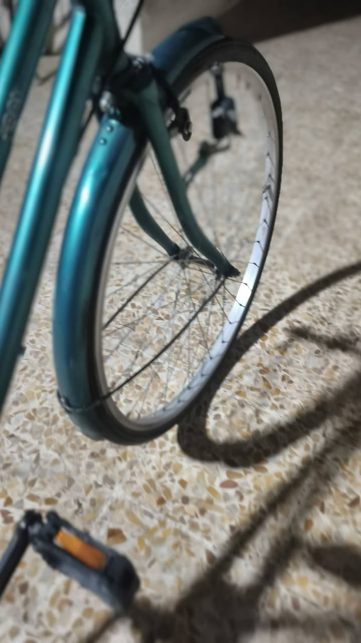 السلام عليكم 🩷
بايسكل للبيع 🩵
الشركة فور ماج 🩶
ويالة مختم 2019🩵
كشن طياري 🩶
دسك جديد🩷
لشة نضيفة شخط مابيهة 🩷
عنوان ديالي بعقوبة ام العضام 🩵
السعر خاص هاذا رقمي 🩷
*********** 🫵
