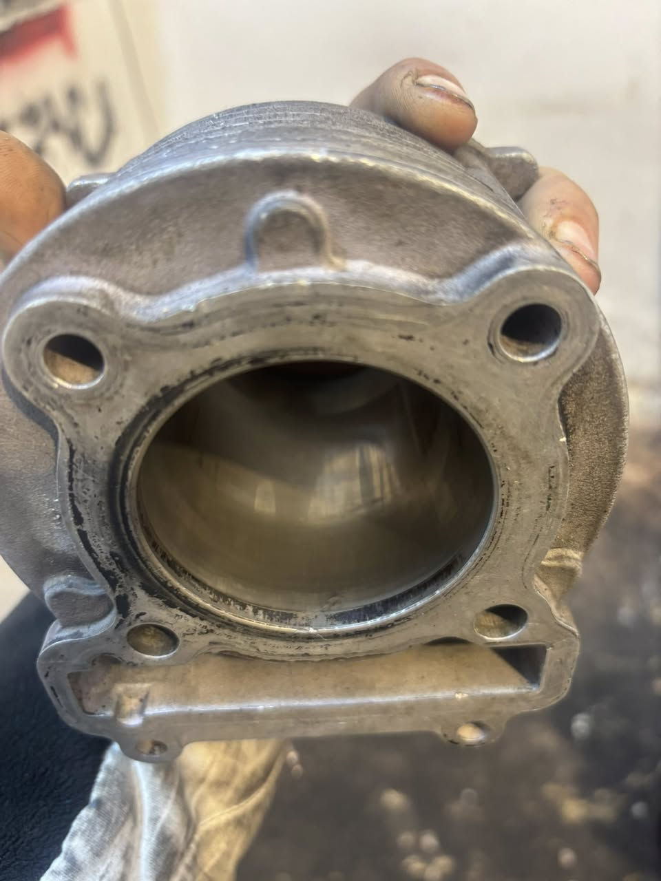 ويل ثعلب +جيتي ار 
تجوه مال بريز اصليه مال رمبه 
سلف دولار يشغل ٦٦او جوه 
بوشه MTRT
عنواني بغداد الكريعات توصيل ماجود ***********
