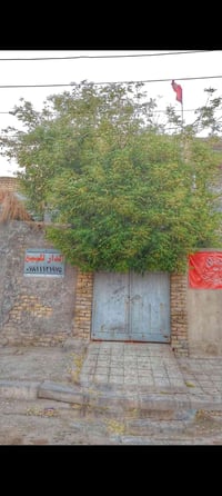 المبروكة حي الفردوس • ١٠٠م • طابقين