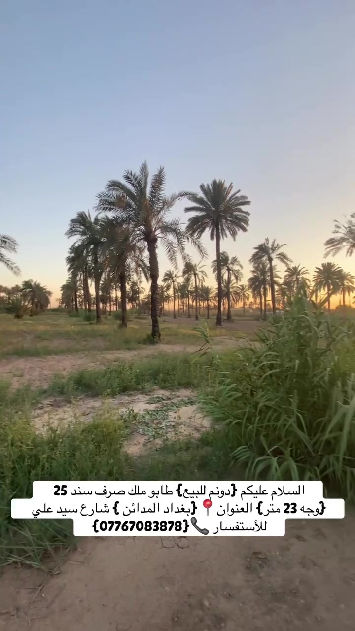 السلام عليكم {دونم للبيع} طابو ملك صرف سند 25 {وجه 23 متر}  العنوان📍 {بغداد المدائن } شارع سيد علي يبعد عن نهر دجلة 200 متر  
للأستفسار 📞{***********}

  #بيع #عقار #مزارع #عقارات #ترند
