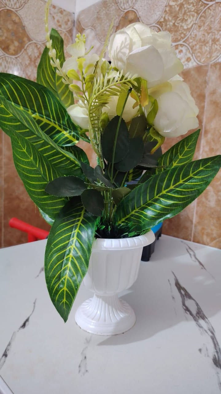 سلام عليكم مكيف جديد سعر 300وبي مجال خلاط 15الف ثلاجه 125الف وبيه مجال مزهريات على 5لاف ام بيثري سعره 25الف


**إذا كنت صاحب هذا الإعلان وتريد حذفه لأي سبب، رجاءا أرسل رسالة إلى الدعم الفني**