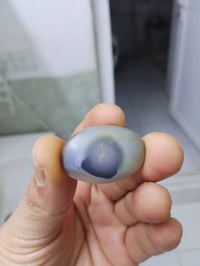 نوادر السليماني • محكوم • چوكر مفول