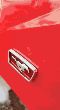 سلام عليكم تكتك مديل 22شهر 11 رقم كفاله عده شخط بصيط بل لغد  عنواني بغداد الجديده
***********
