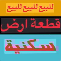 طابو زراعي • ٢٥٠م • علي قمارة