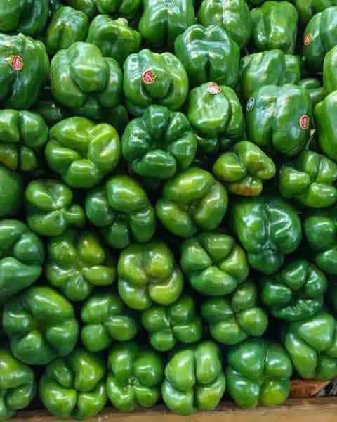علئ بركه لله علوه البركه جميع انواع مخضر وفواكه درجه اولئ 
يوجد لدينا توصيل مجانا 
‏‪***********‬‏ يوجد واتساب

