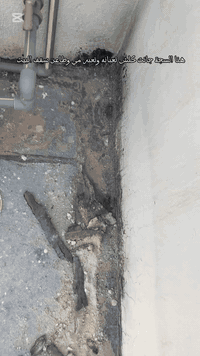 هل عندك تسريب مي بالسطح فواصل الشتايكر مفتوحة؟ شكو شقوق أو فراغات تخاف...