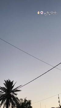 ستاركس • ٢٠١٠ • ناحية جصان