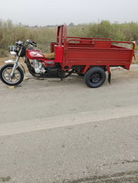 ستوته • وراق صولي • مكفول