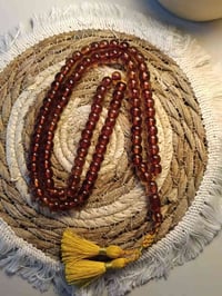 سندلوس عسلي • عرق احمر • المشتل بغداد